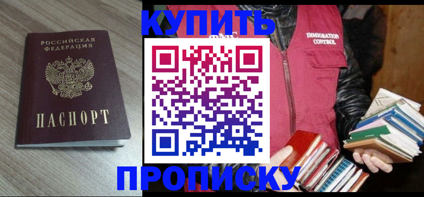 прописка 2025 в Камышине